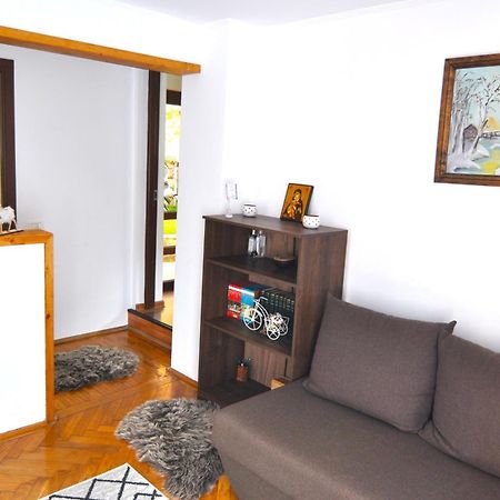 Casa Tex Villa Buşteni Eksteriør billede