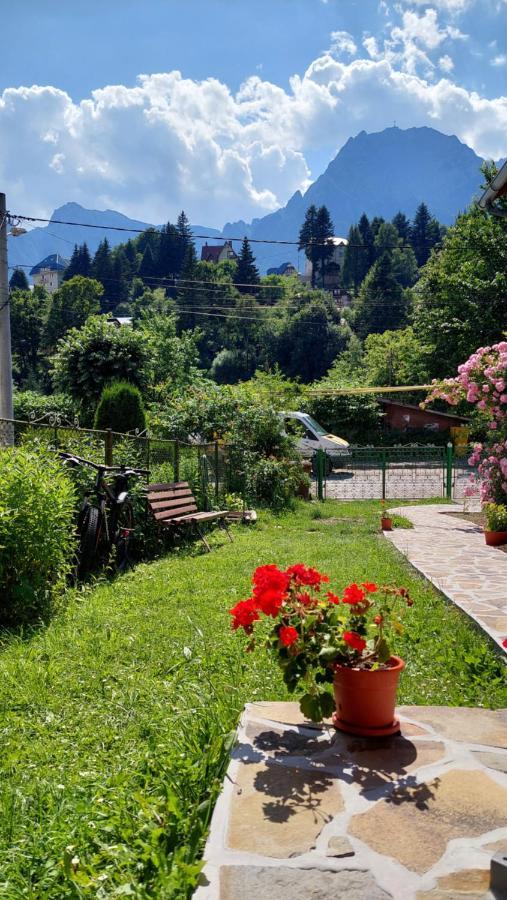 Casa Tex Villa Buşteni Eksteriør billede