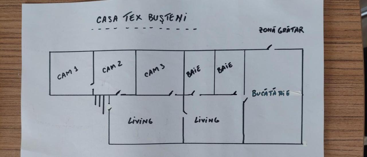 Casa Tex Villa Buşteni Eksteriør billede