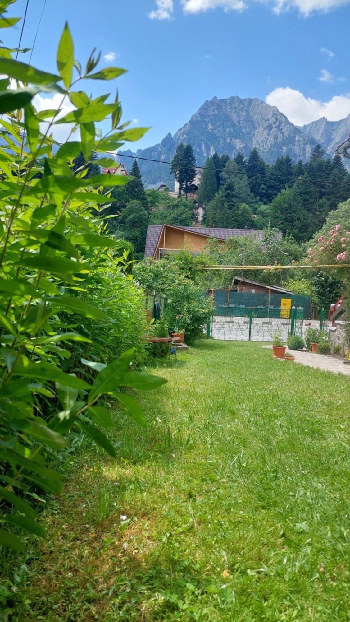 Casa Tex Villa Buşteni Eksteriør billede